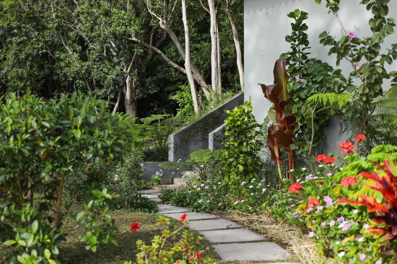 Green Cottage Chamarel Esterno foto