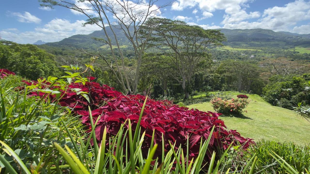 Green Cottage Chamarel Esterno foto