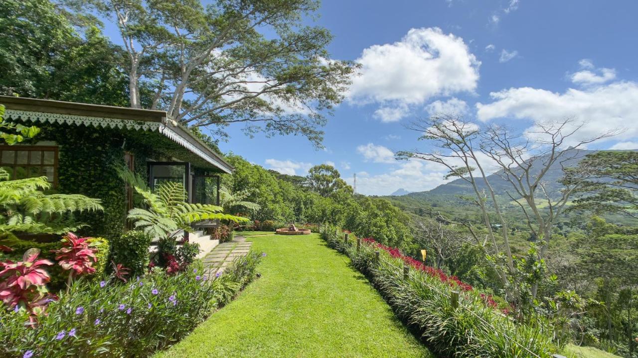 Green Cottage Chamarel Esterno foto