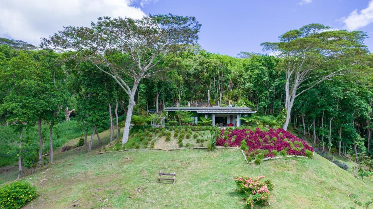 Green Cottage Chamarel Esterno foto