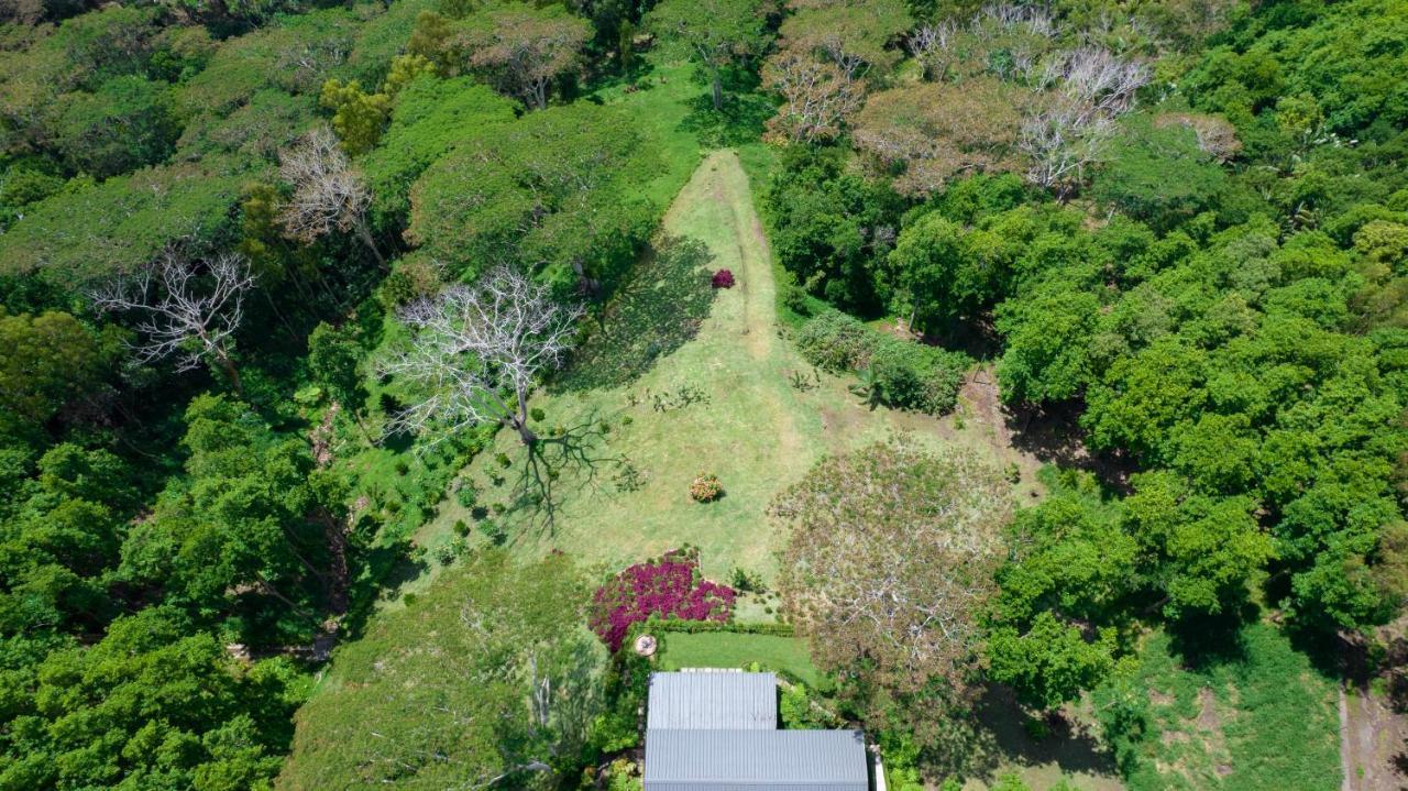 Green Cottage Chamarel Esterno foto